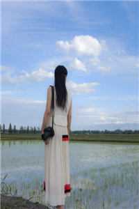 苹果手机铃声下载