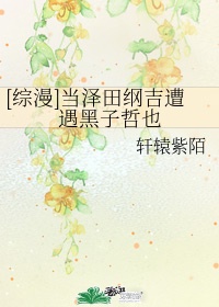 飞向别人的床歌曲