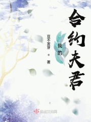 万年只争朝夕txt下载