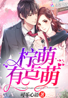杨家将外传全文目录