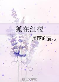 城里来的少妇