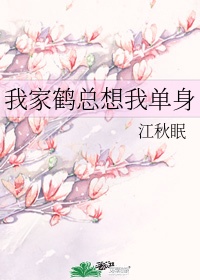 silk labo迅雷下载