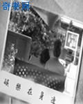 白洁和高校长全文txt