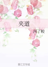 状王宋世杰2