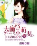 seqing网站