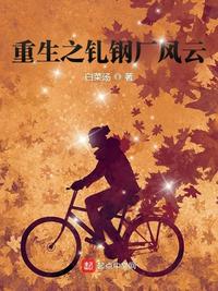 纵横四海小说