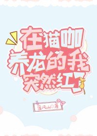 九度影视