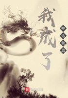 视频网站api接口破解