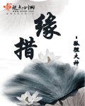 97精品视频共享总站