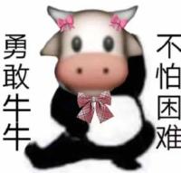 独孤皇后电视剧全集