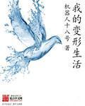 风流寡妇小说免费全文
