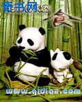 宋绯烟千羽野在阳台第420章