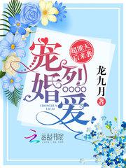 夜二少的二婚新妻