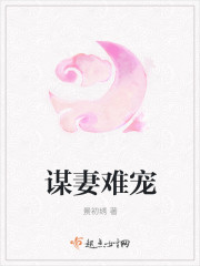 不二之臣