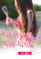 宝生莉莉2024又新片吗