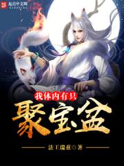 鸡毛满天飞电视剧