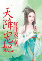 墨总的硬核小娇无弹窗