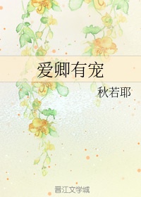 日本一发失误动漫全集