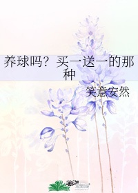 实力至上主义的教室第二季