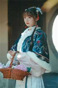 云胡不喜尼卡小说