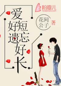 美度镜砖