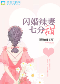 七星彩txt下载