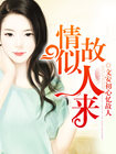 小小忍者