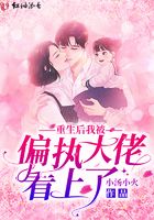 军嫂进化论
