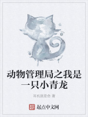 大乳女高清在线av