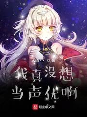 坏儿子鲍比安攻略