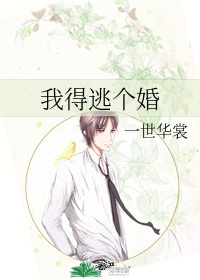 ppt018磁力链接