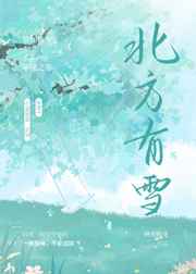 皇上巨龙刺进公主的