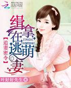 娇妻归来电视剧