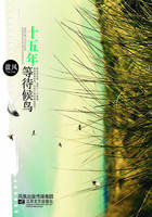 japonensis中国农村
