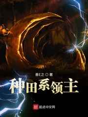 龙牌之谜