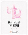 摸胸电影