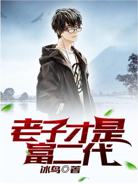插爽