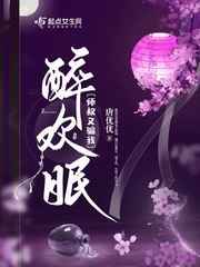 阿宾小说