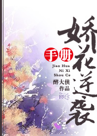 国产理论视频