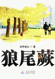 钢质防火门
