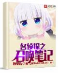 fcw视频