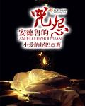 布拉芙夫人在线看