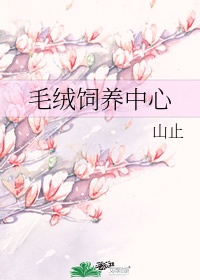 漂亮的邻居电影完整版