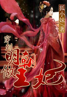 婚后爱情小说