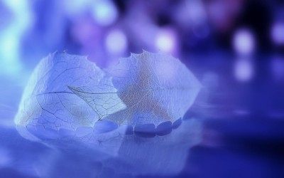 风流母亲在土炕上 东北