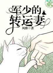 诱宠小妻军长今夜休战