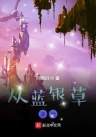 冰火服务是什么意思啊