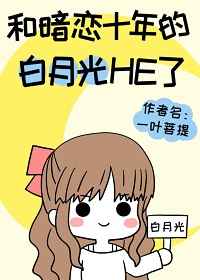 格子间女人小说