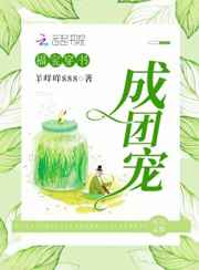 我能看到回报率