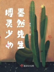 婷婷四色
